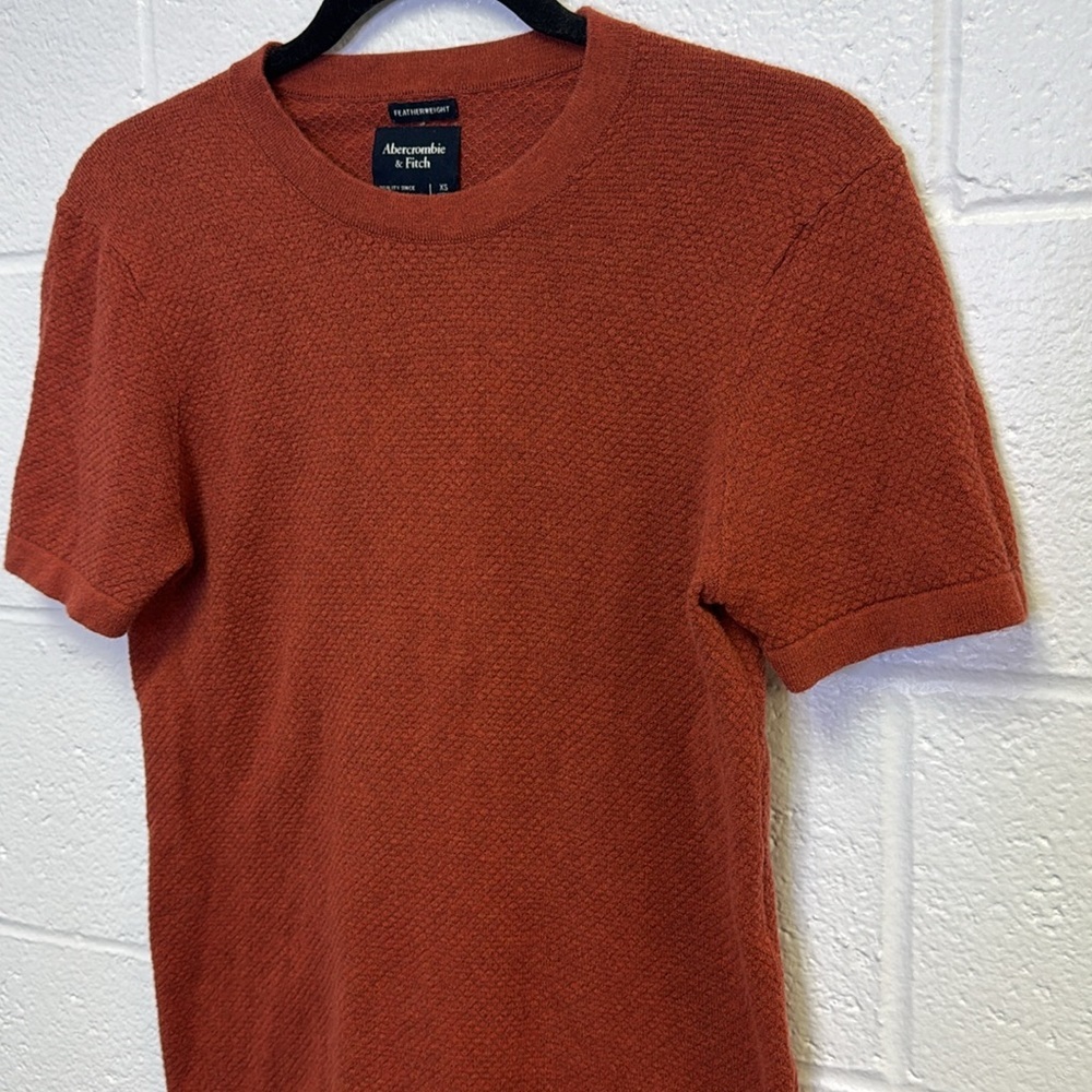Abercrombie & Fitch Rust Short Sleeve Tee - Picture 4 of 7